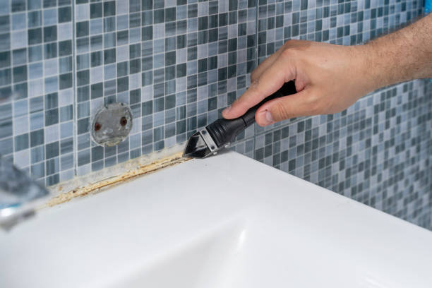 Best Mold Testing  in Hastings, MI